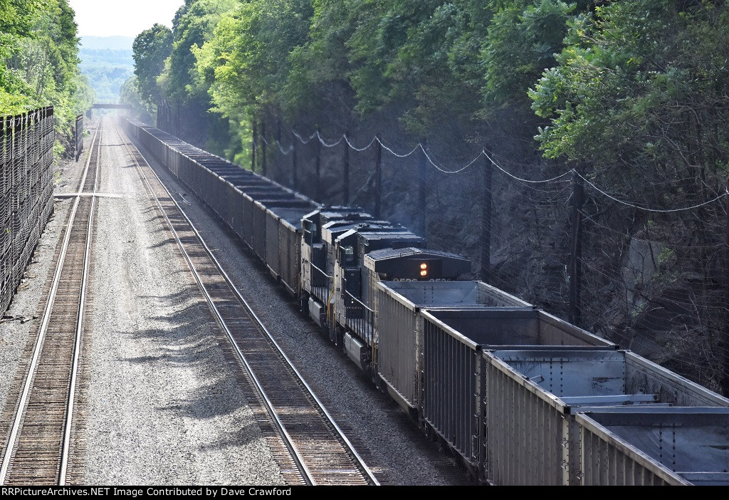 NS 9526 and NS 7510